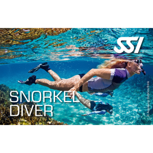 SSI ŞNORKEL EĞİTİMİ