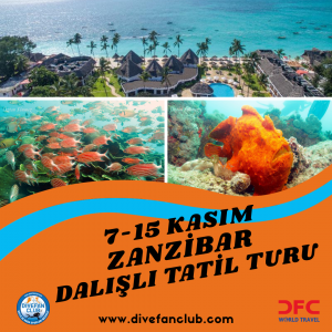 🌊 7-14 KASIM ZANZİBAR DALIŞLI TATİL VE KÜLTÜR TURU