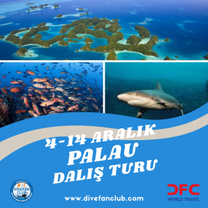 🌊 4-14 ARALIK PALAU DALIŞ TURU
