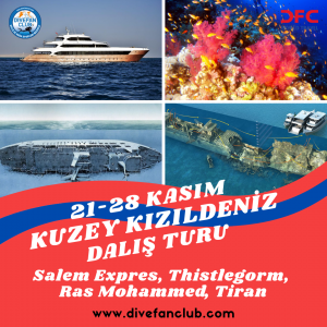 21-28 KASIM KUZEY KIZILDENİZ LİVEABOARD DALIŞ TURU