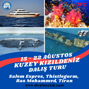 15-22 AĞUSTOS KUZEY KIZILDENİZ LİVEABOARD DALIŞ TURU
