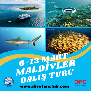 6 – 13 MART 2027 TEKNE KONAKLAMALI MALDİVLER DALIŞ TURU